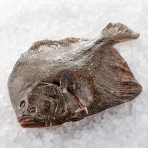 Piggvarfilé